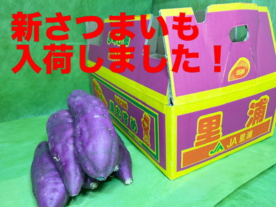 新さつまいも（鳴門金時）が入荷しました！