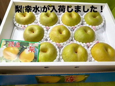梨（香水）が入荷しました！