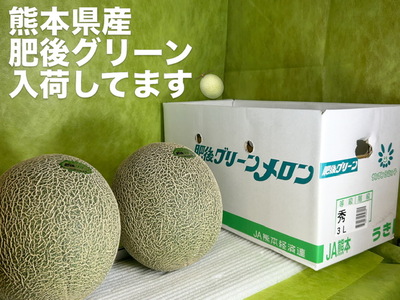 熊本県産の肥後グリーン入荷しました！