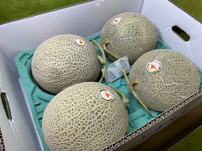 北海道の赤メロンが入荷しております！
