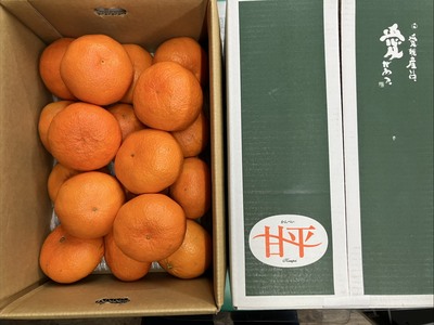 愛媛 甘平（かんぺい）5k入