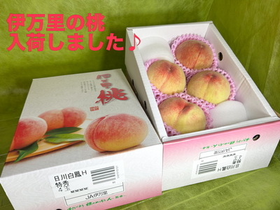 桃（日川白鳳）が入荷しました！