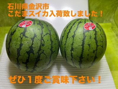 石川県の小玉すいか入荷しました！