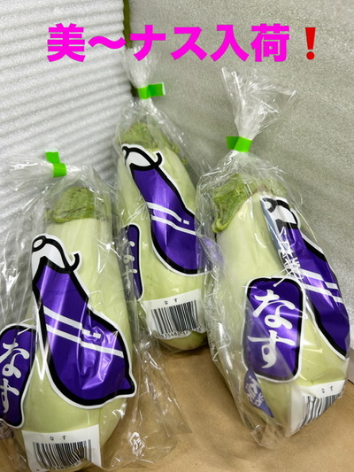 徳島県産の白ナスが入荷しました！