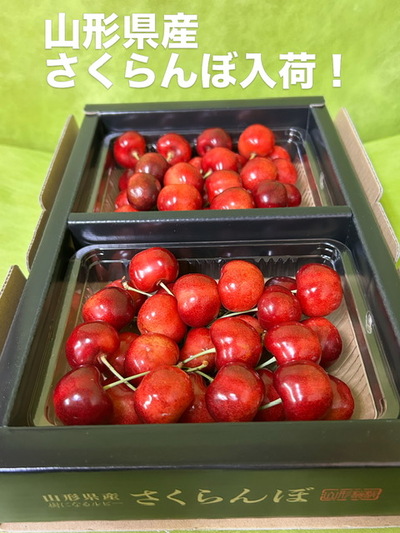 さくらんぼ（紅王）入荷しました！