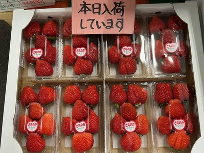いちご入荷してます！