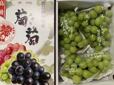 徳島県産のシャインマスカット入荷しました！
