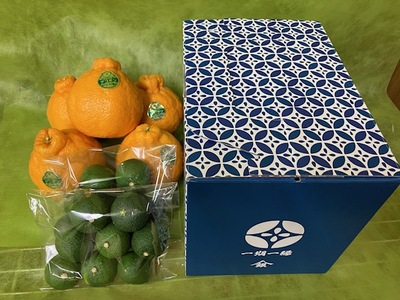 ふるさと納税！