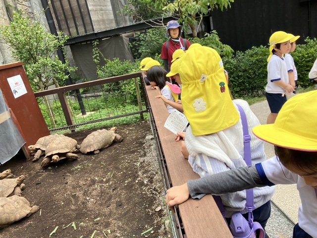 2.6（金）　お別れ遠足：ゆり組・ばら組編