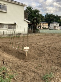 生活介護きょう花 農園スタート！