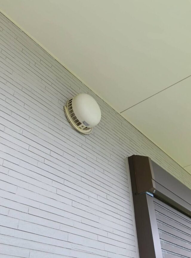 コウモリ対策の画像