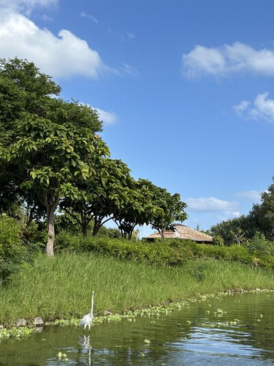 20260119_5R7フォトコン