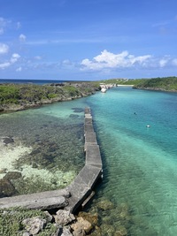 20260119_12R7フォトコン