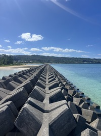 20260119_7R7フォトコン