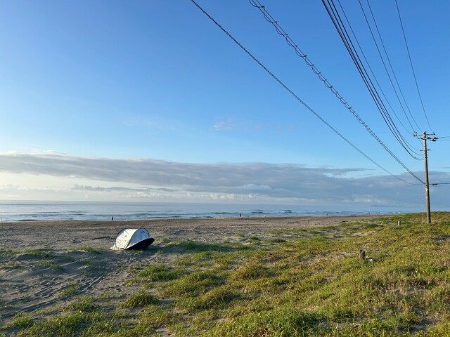 初夏の朝、、、。