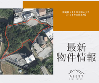 【最新物件情報】沖縄県うるま市大田エリア「うるま市大田土地」