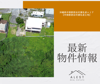 【最新物件情報】沖縄県中頭郡読谷村瀬名波エリア「中頭郡読谷村瀬名波土地」