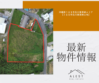 【最新物件情報】沖縄県うるま市石川東恩納エリア「うるま市石川東恩納土地」
