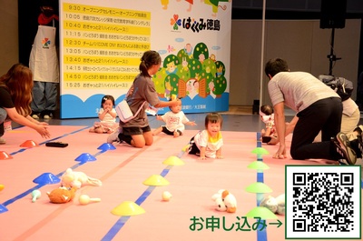 ハイハイレース