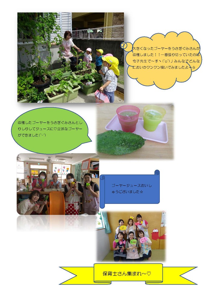 大きくなったゴーヤーをうさぎぐみさんが収穫しました！！