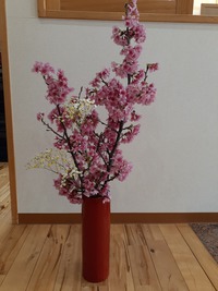 桜１