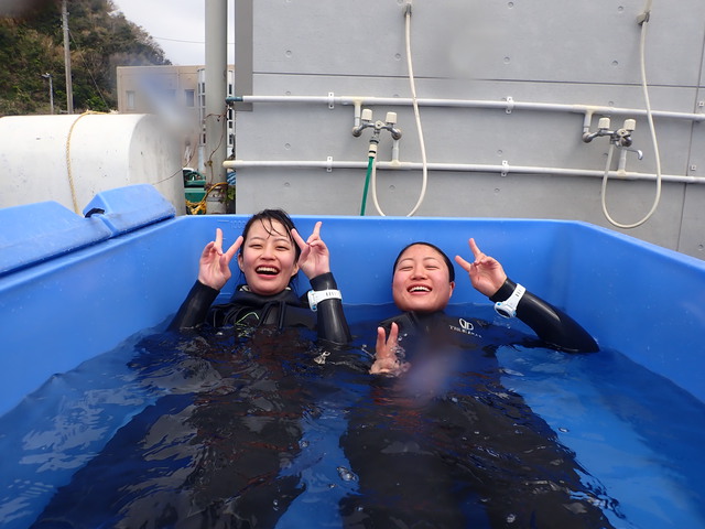 かっちゃまツアーに行ってきました｜千葉県館山市の沖ノ島ダイビングサービスマリンスノー