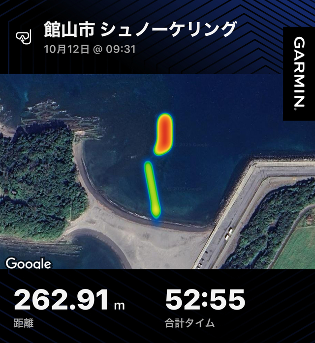 【千葉県館山市・沖ノ島ビーチ】秋の透明度15mの海で楽しむ初心者向けシュノーケリング体験｜穏やかな海と癒しの時間【2025/10/12】