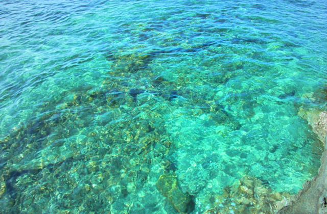 千葉県館山市の沖ノ島で叶える、癒しと非日常の女子旅  ― 海・自然・パワースポット・写真映えを一度に楽しめる陸続きの無人島 ―