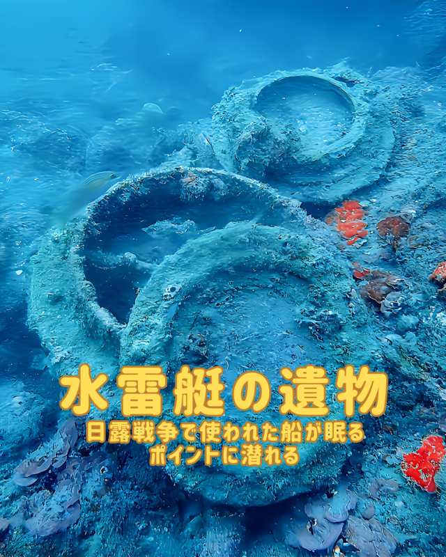 千葉県館山市・沖ノ島沈船（水雷艇）ダイビング完全ガイド｜9月の魅力と初心者にも安心の人気スポット