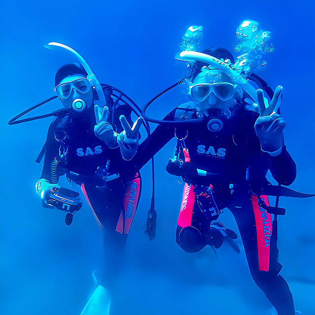 ファンダイブ完全ガイド｜初心者・ブランクも安心の沖ノ島ファンダイビング｜マリンスノー