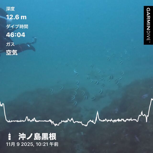 【沖ノ島沈船×黒根】千葉県館山市の秋の海で20代女性が初ドライスーツダイビングに挑戦｜沖ノ島ダイビングサービスマリンスノー