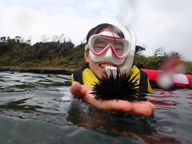 千葉県館山市の沖ノ島海水浴場でスノーケリング【シュノーケリング】開催いたしました。｜千葉県館山市の沖ノ島ダイビングサービスマリンスノー