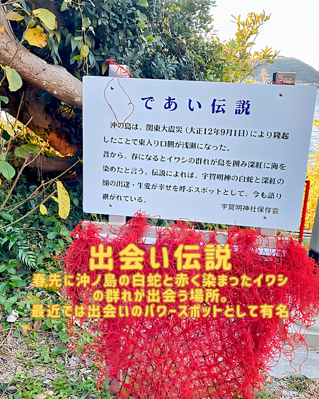 千葉県館山市・沖ノ島の宇賀明神とは 　― 島の奥にひっそり佇む、知る人ぞ知る神聖な観光スポット ―