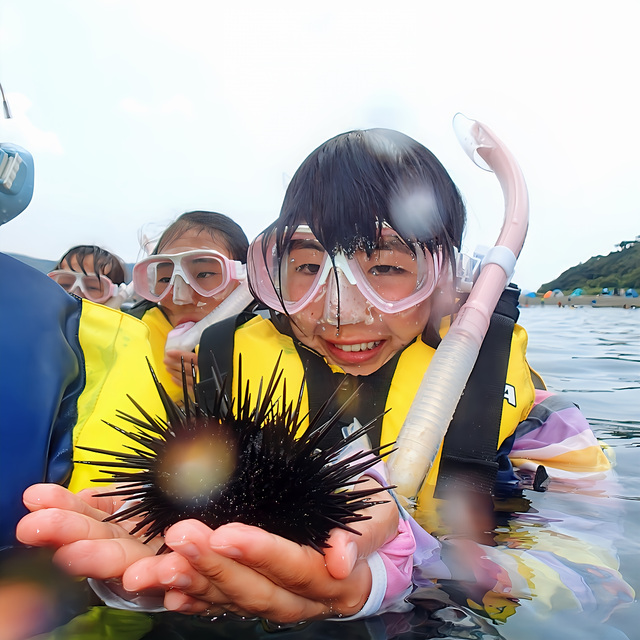 シュノーケリング完全ガイド｜初心者・親子でも安心な沖ノ島シュノーケリング｜マリンスノー