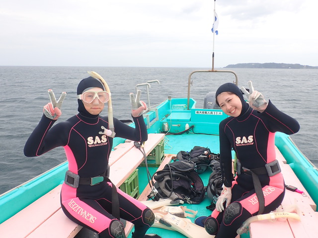 本日は沖ノ島でファンダイブ｜千葉県館山市の沖ノ島ダイビングサービスマリンスノー