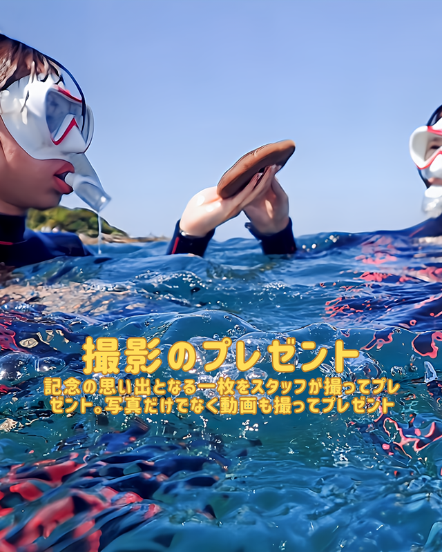 千葉県館山市・沖ノ島 　女子旅に選ばれる理由とは？ ― 写真・自然・安心感がそろう、ちょうどいい旅先 ―