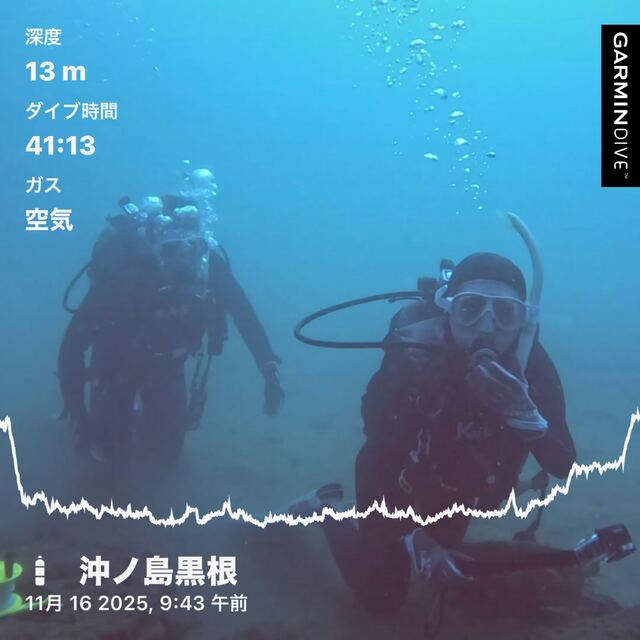 秋の光が包む沖ノ島黒根で楽しむ色彩豊かなファンダイブ｜神奈川県からの男女2名と巡る館山ダイビングの魅力