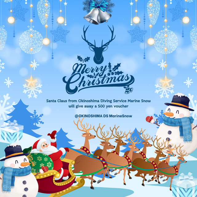 クリスマスイブの沖ノ島｜館山市で感じる静かな冬の海