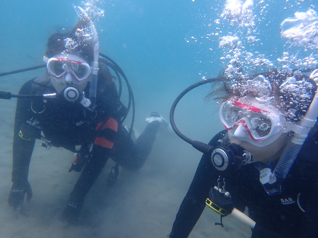 沖ノ島ビーチで体験ダイビング｜千葉県館山市の沖ノ島ダイビングサービスマリンスノー