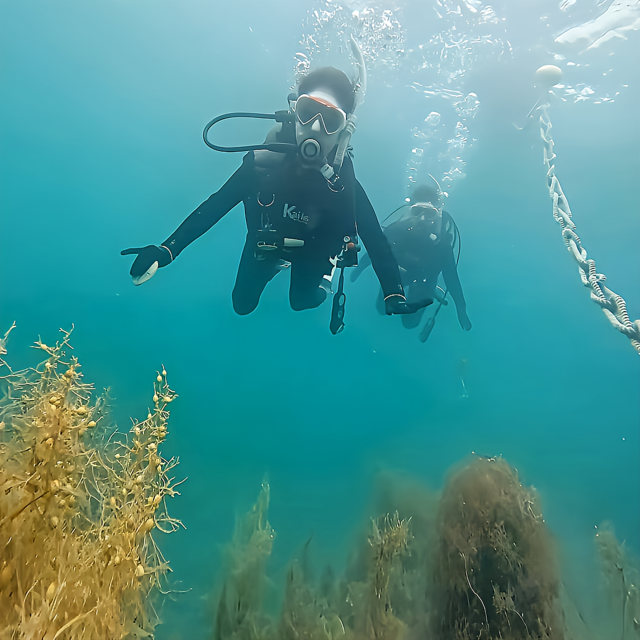 館山ダイビングは初心者でも大丈夫？ 不安を解消する完全ガイド【千葉・館山】
