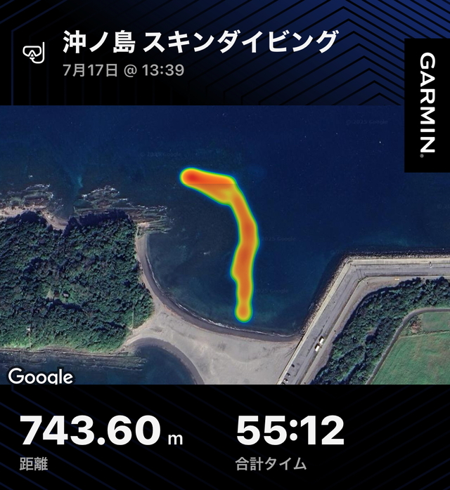 2025年7月17日｜夫婦で楽しむ沖ノ島のスキンダイビング体験｜多彩な魚と海中の出会いに感動