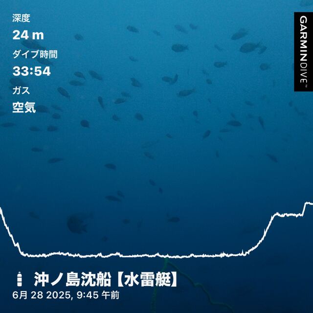千葉県館山市・沖ノ島の沈船ポイントと黒根でファンダイビング体験｜当日の透明度・水温・生物情報を公開