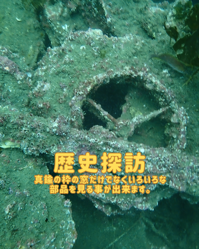 千葉県館山市・沖ノ島沈船（水雷艇）ダイビング完全ガイド｜9月の魅力と初心者にも安心の人気スポット