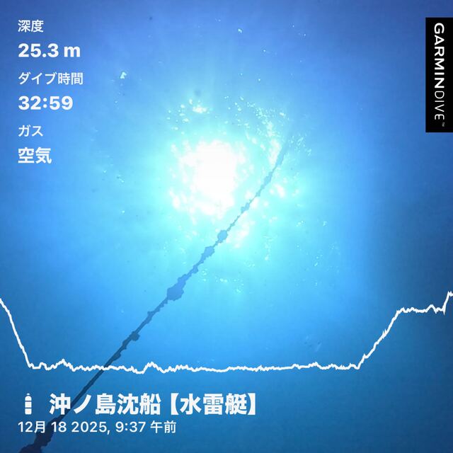 初めてでも安心｜千葉県館山市・沖ノ島沈船（水雷艇）と黒根で楽しむファンダイビング