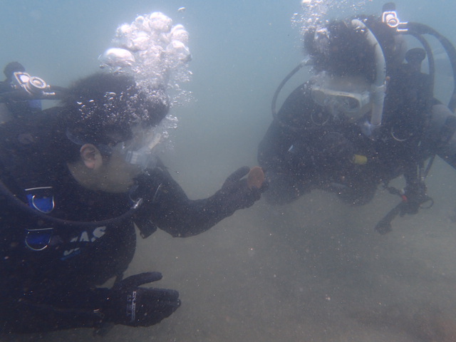 沖ノ島ビーチで体験ダイビング｜千葉県館山市の沖ノ島ダイビングサービスマリンスノー