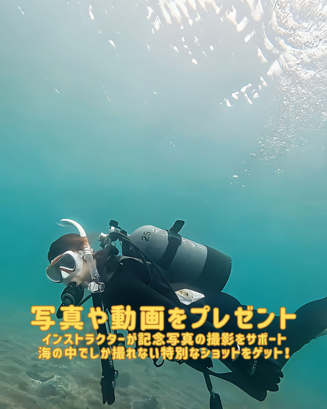 秋の海を満喫！千葉県館山市・沖ノ島で楽しむ初心者向け体験ダイビングの魅力とおすすめ情報
