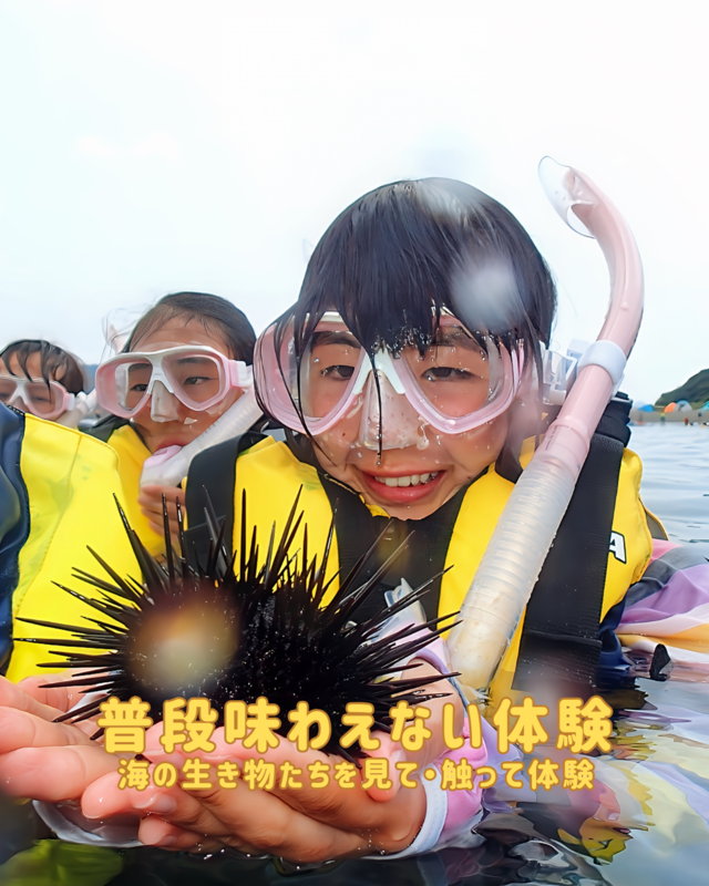  家族・友達・カップルで楽しむ夏休みの思い出作り！沖ノ島のシュノーケリング体験が選ばれる理由とは？