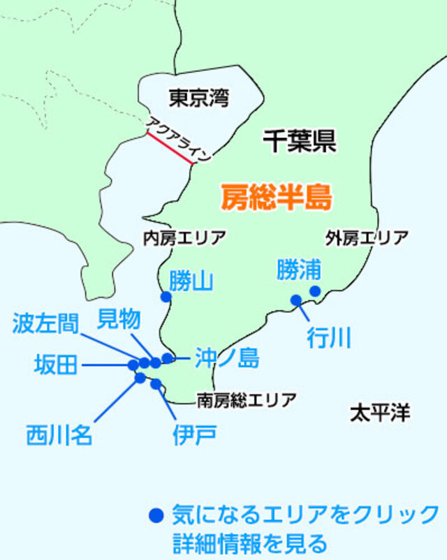 内房エリアならではの穏やかな海況は、沖ノ島ダイビングの大きな魅力。波やうねりの影響を受けにくく、初心者やブランクダイバーでも落ち着いてダイビングを楽しむことができます。
