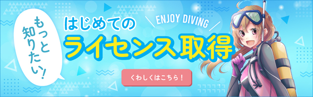 水中で長く安定して過ごしたい方は、 ライセンス講習の完全ガイド が参考になります。