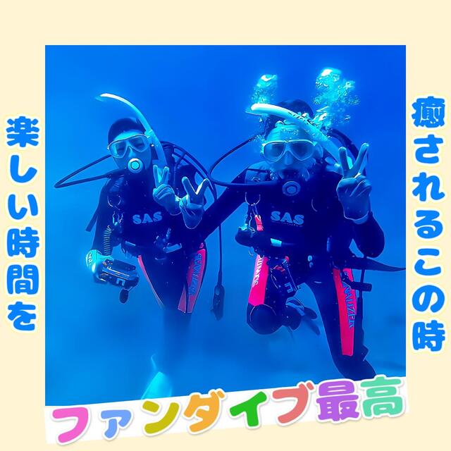 沖ノ島ダイビングサービス『マリンスノー』のファンダイビング：館山で楽しむ豊かな海中生態系と初心者向けから上級者向けまでのダイビング体験